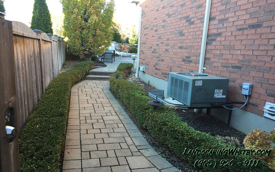Garden Path Planting